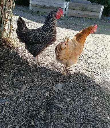 Kwatera prywatna Gemutliches Mit Bad Bad Grönenbach